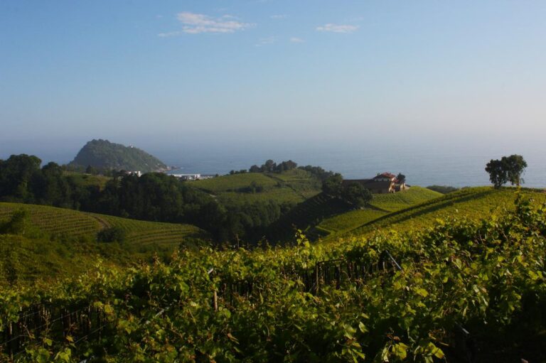 Txakoli de Getaria : un vignoble espagnol face à l’océan Atlantique.