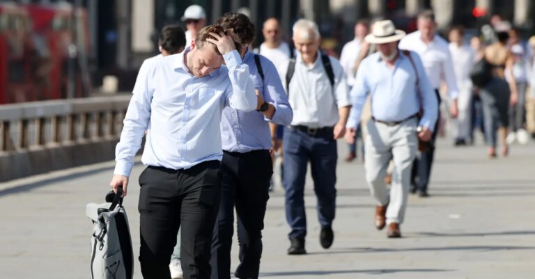 Canicule : coûts cachés pour la productivité agricole et le PIB national.