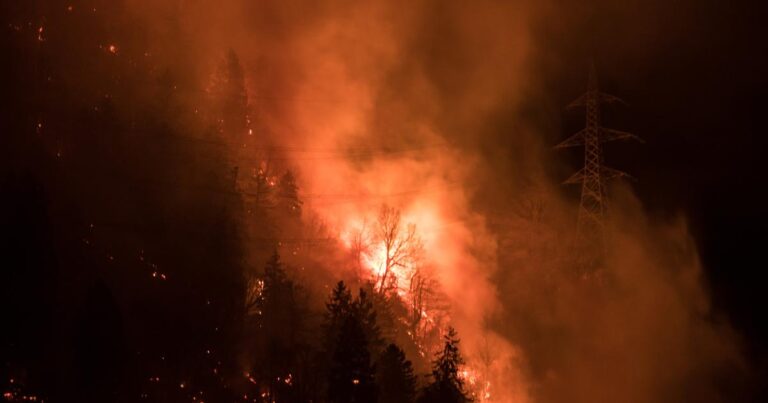 Suisse : augmentation des incendies de forêt en raison de la sécheresse.