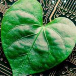 Linux réduit la consommation énergétique des serveurs dans le secteur technologique.
