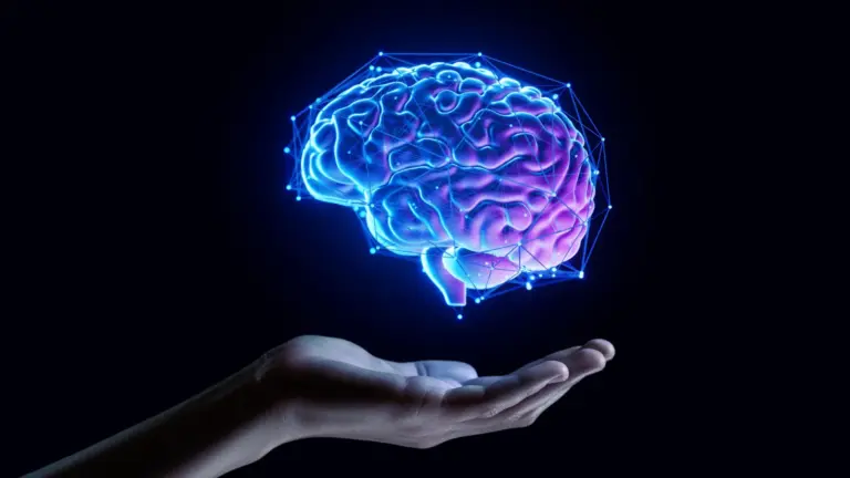 Protéine tau de l’Alzheimer révèle un rôle inattendu dans la mémoire humaine.