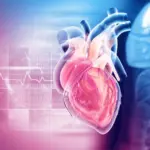 Des scientifiques de Columbia établissent un lien entre la sérotonine et la maladie des valves cardiaques.