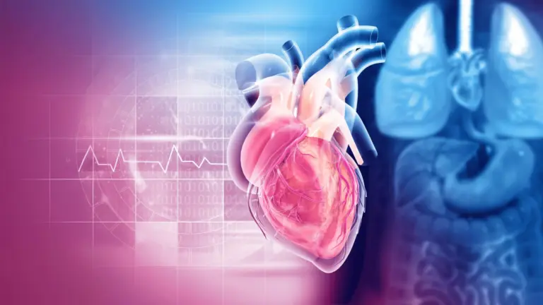 Des scientifiques de Columbia établissent un lien entre la sérotonine et la maladie des valves cardiaques.