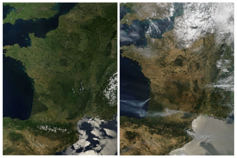 Canicule en France : 80 % du territoire soumis à des restrictions d’eau face à la sécheresse historique.