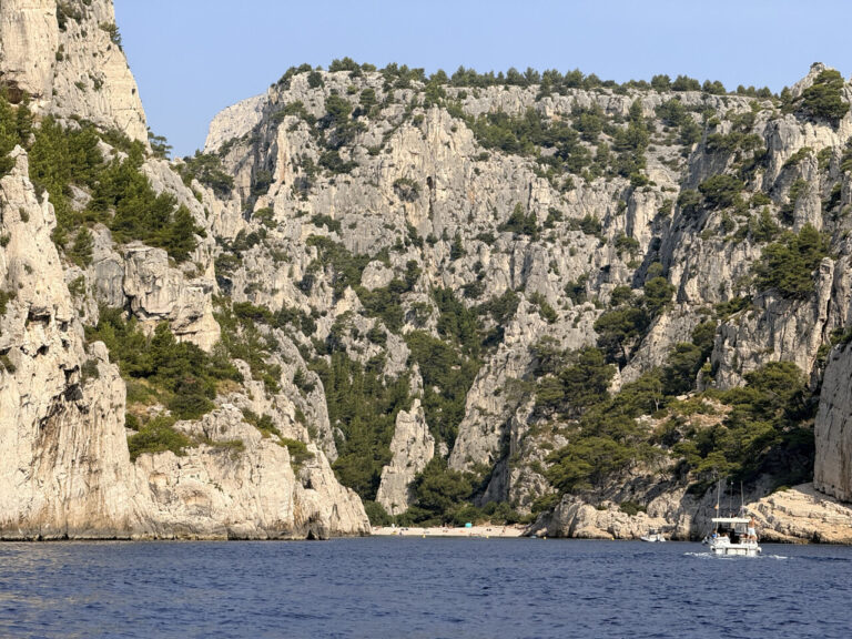 La plage emblématique de Marseille désignée meilleure plage de France par un jury national.