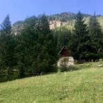 Montagne : des études montrent l&rsquo;importance de la nature pour le bien-être mental.