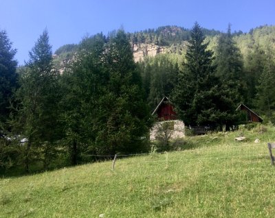 Montagne : des études montrent l’importance de la nature pour le bien-être mental.
