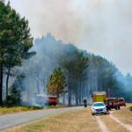 Feux de forêt en Gironde : 2 hectares de pins brûlés entre Martillac et Léognan.