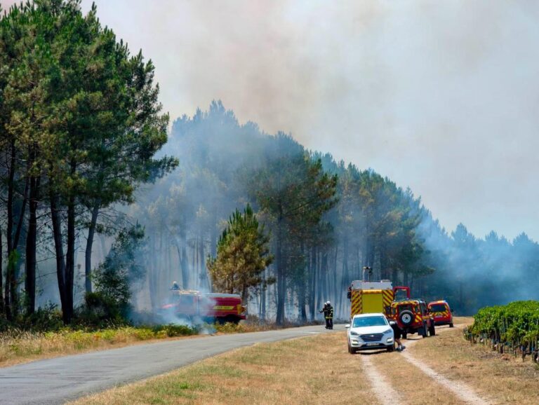 Feux de forêt en Gironde : 2 hectares de pins brûlés entre Martillac et Léognan.
