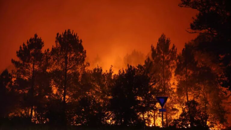 Incendies : les entreprises évacuées peuvent recourir au chômage partiel.