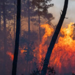 Évacuation accrue dans le sud-ouest de la France face aux incendies estivaux.