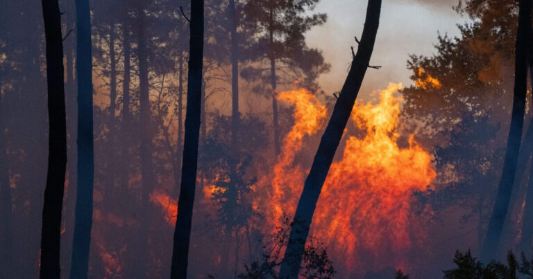 Évacuation accrue dans le sud-ouest de la France face aux incendies estivaux.