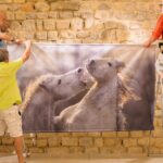 Les Rencontres Giono explorent le lien entre écrivains et photographie en Alpes-de-Haute-Provence.
