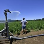 Eau en Gironde : la Chambre d’agriculture souligne l’urgence de la diversification agricole
