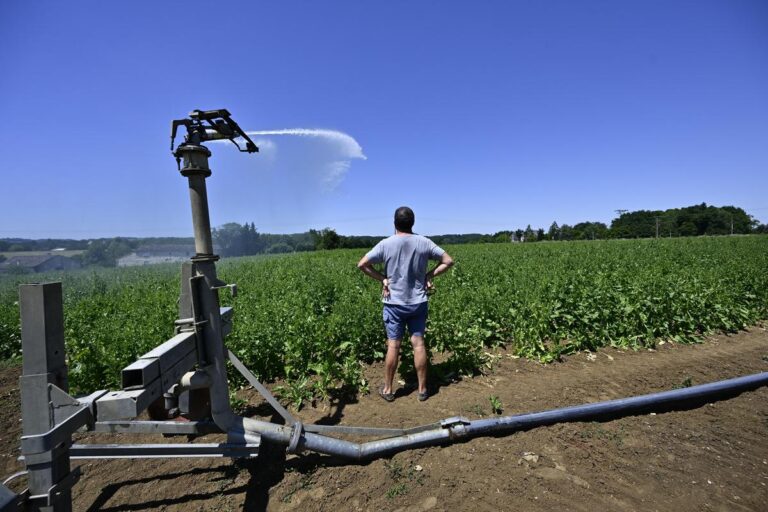 Eau en Gironde : la Chambre d’agriculture souligne l’urgence de la diversification agricole