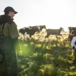 Renouvellement des générations dans le PAC post-2027 : tensions entre Parlement et Conseil européen.