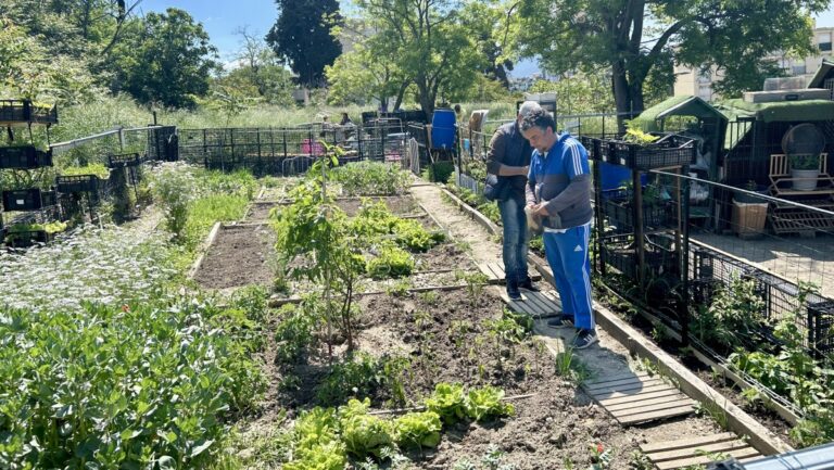 Les habitants d’Aux Oliviers à Marseille souhaitent préserver leur jardin communautaire.