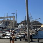 À La Ciotat, la mairie renforce les mesures contre la recrudescence des nuisances estivales.