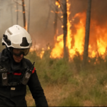 Incendies en Gironde : analyse des causes et des conséquences sur l&rsquo;environnement local