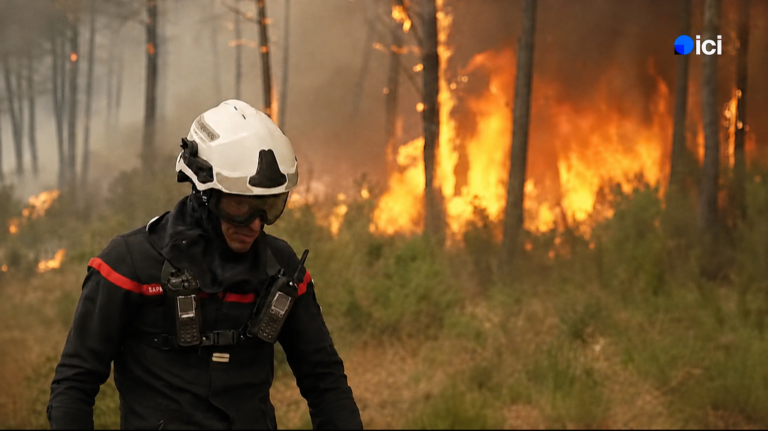 Incendies en Gironde : analyse des causes et des conséquences sur l’environnement local