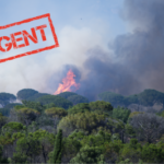 Incendies en PACA : la Fondation du patrimoine lance une collecte pour soutenir les sinistrés