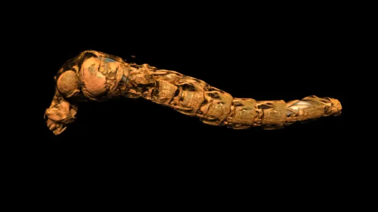 Des insectes marins résistent à des profondeurs écrasantes sans subir de dommages.