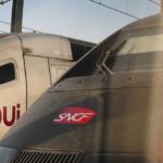 Chat mort sur les voies à la gare de Lyon : le protocole Neko de la SNCF expliqué.