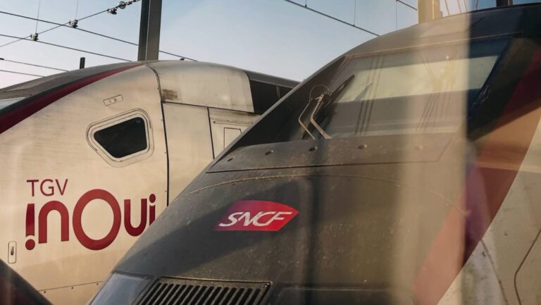 Chat mort sur les voies à la gare de Lyon : le protocole Neko de la SNCF expliqué.