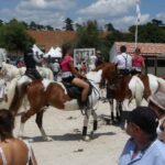 Feria du cheval à Méjanes : compétition équestre et concours de tri de bétail prévus.