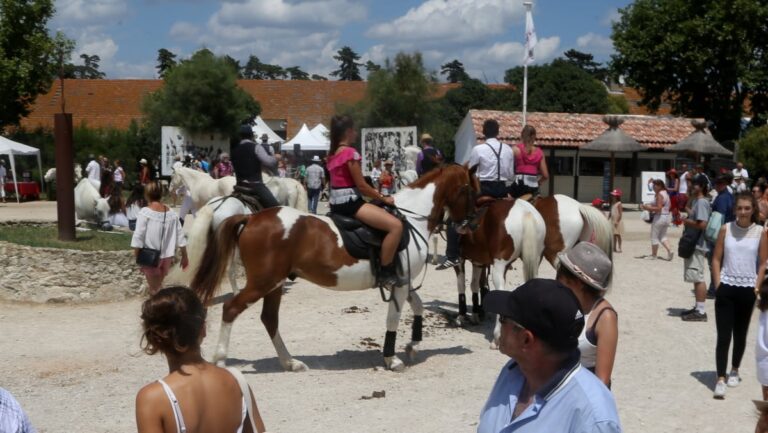 Feria du cheval à Méjanes : compétition équestre et concours de tri de bétail prévus.