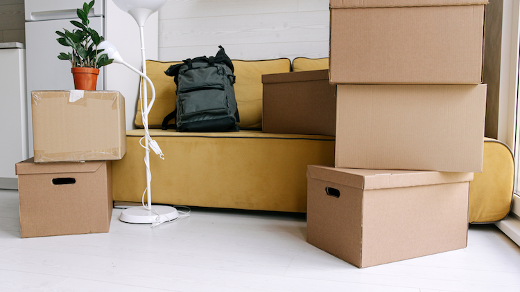 Logement étudiant : une nouvelle plateforme facilite la recherche de logements en France.