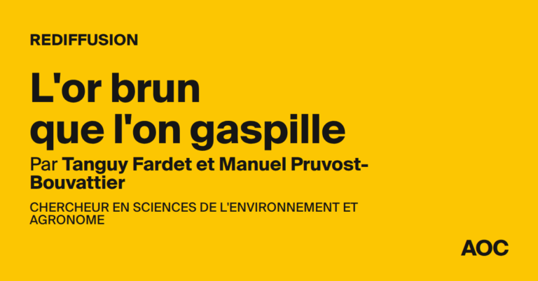Gaspillage de l’or brun : la France perd des millions d’euros chaque année.