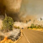 Risques de santé liés à la fumée des incendies : asthme, cancer et démangeaisons identifiés.