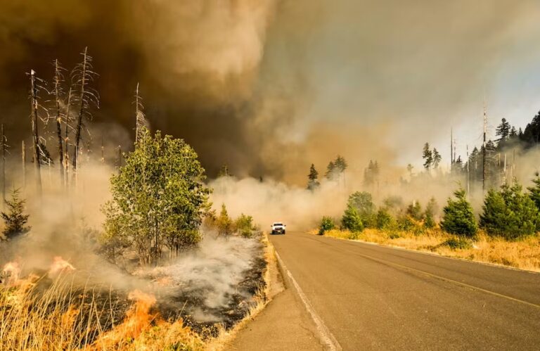 Risques de santé liés à la fumée des incendies : asthme, cancer et démangeaisons identifiés.