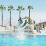 Huit dauphins de Marineland transférés en Espagne sous supervision de l&rsquo;État français.