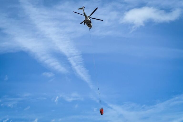 Incendie à Corte : 50 hectares brûlés, le feu maîtrisé mais toujours actif.