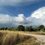 Météo à Toulon : des pluies attendues sur le Vaucluse et les Alpes du Sud mardi.