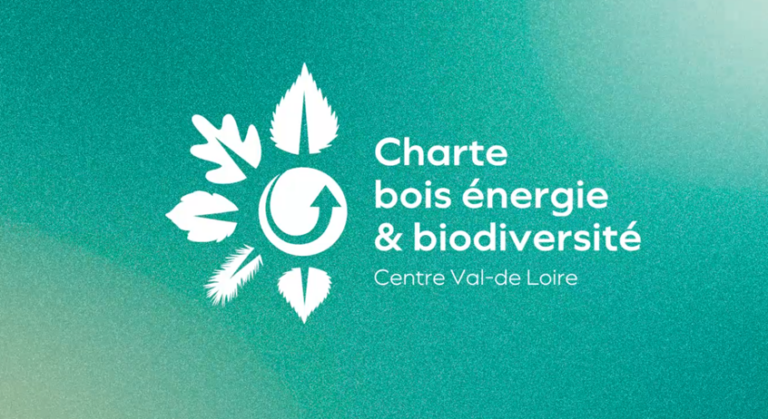 Une vidéo présente la charte bois énergie et biodiversité en Centre-Val de Loire.