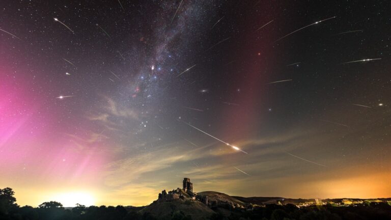 Six pluies de météores à observer cet été, dont les Perséides, selon des astronomes.