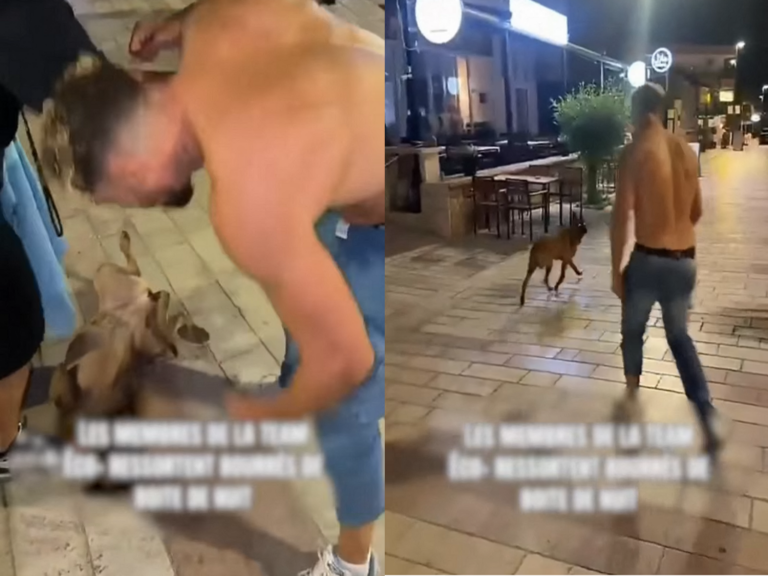 Un influenceur marseillais filmé en train de frapper un chien, vidéo controversée partagée en ligne