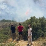 La Méditerranée confrontée à une crise écologique majeure selon un rapport d&rsquo;Arte.