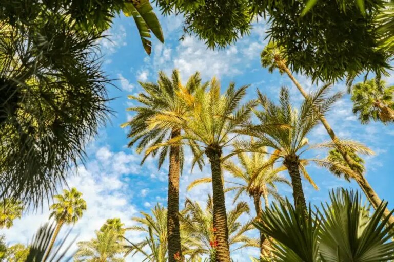 Balades dans le Var : 18 lieux de détente loin des plages bondées cet été