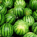 Algérie : l’Apoce alerte sur les risques sanitaires liés à la consommation de pastèque.