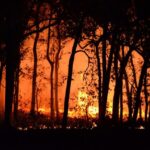 Incendie en Gironde : Laurent Nuñez annonce une situation stabilisée, Macron se rend sur place.