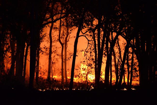 Incendie en Gironde : Laurent Nuñez annonce une situation stabilisée, Macron se rend sur place.
