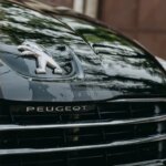 Stellantis annonce une reprise de la croissance des ventes en Europe.