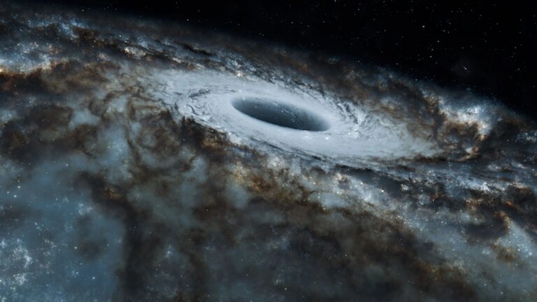 Le télescope spatial Euclid identifie 31 trous noirs supermassifs de l’aube de l’Univers.