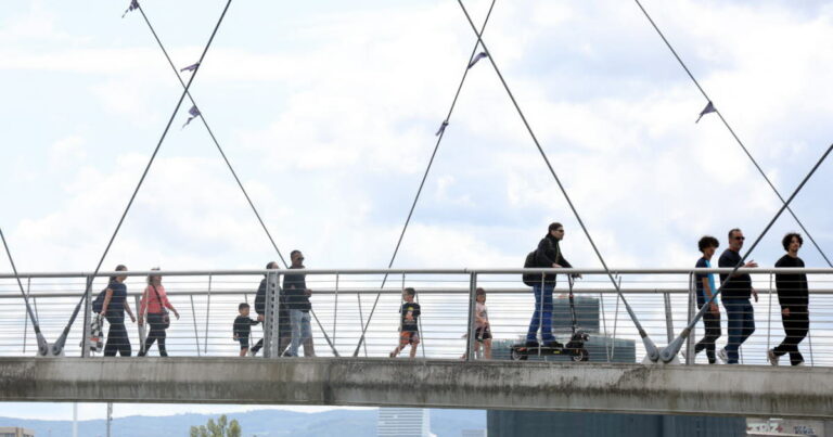Passeur de drogues interpellé à Weil am Rhein sur la passerelle des Trois Pays