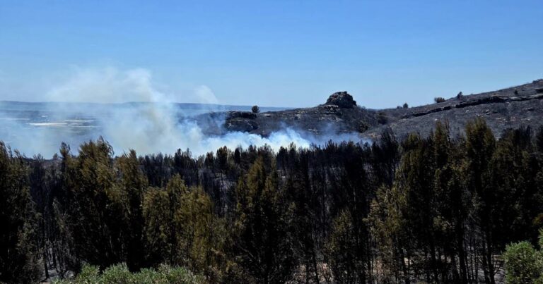 Incendies dans le sud de la France : 1 200 hectares brûlés, évacuations de campings en cours.