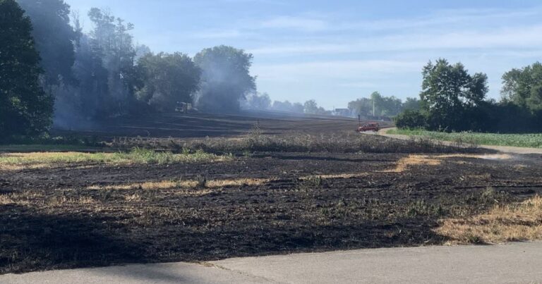 Feu de broussaille en Isère : 15 hectares détruits, intervention rapide des sapeurs-pompiers.
